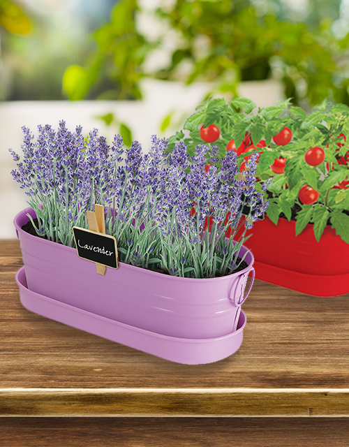 Growing Gifts for Every Occasion Growing Gifts for Every Occasion